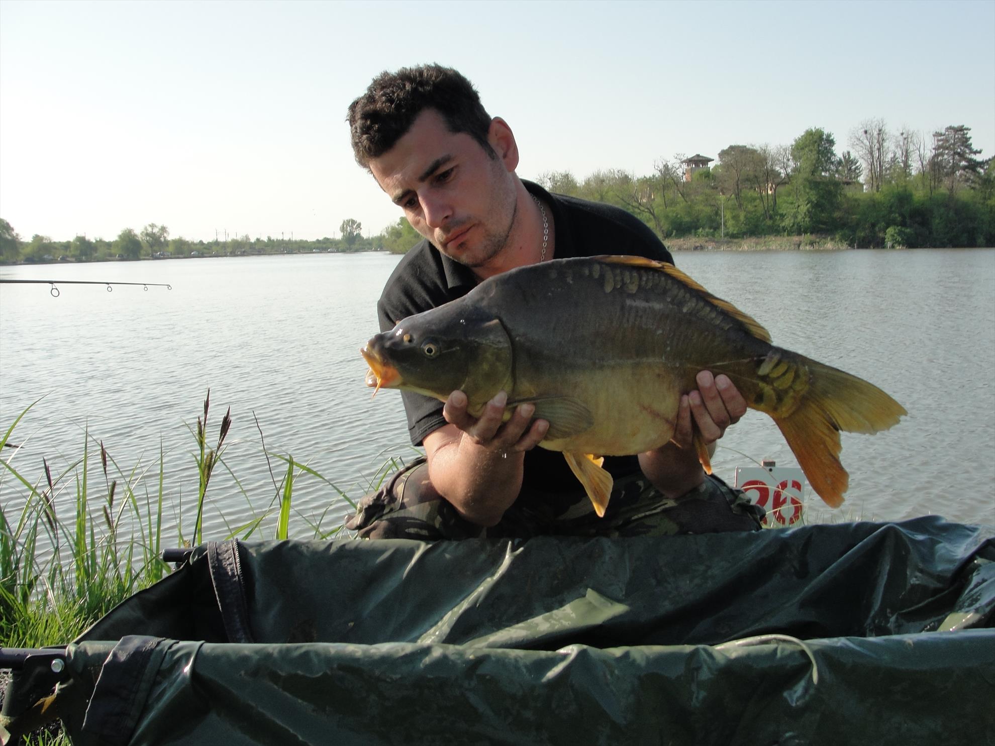 Peris 2015  - dsc00941.JPG